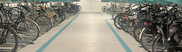 Stalling interieur Lange-Viestr